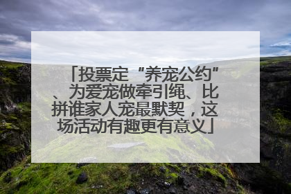 投票定“养宠公约”、为爱宠做牵引绳、比拼谁家人宠最默契，这场活动有趣更有意义