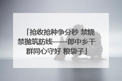 抢收抢种争分秒 禁烧禁抛筑防线——郎中乡干群同心守好 粮袋子