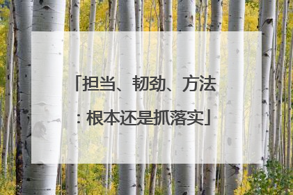 担当、韧劲、方法：根本还是抓落实