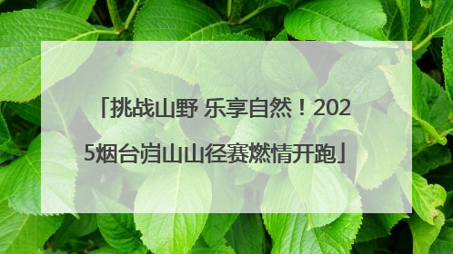 挑战山野 乐享自然！2025烟台岿山山径赛燃情开跑