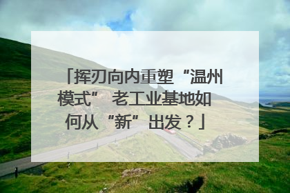 挥刃向内重塑“温州模式” 老工业基地如何从“新”出发？