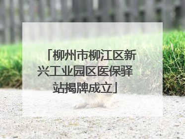 柳州市柳江区新兴工业园区医保驿站揭牌成立