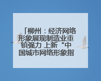 柳州：经济网络形象展现制造业重镇强力 上新“中国城市网络形象指数”报告