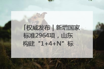 权威发布｜新增国家标准2964项，山东构建“1+4+N”标准化创新发展新格局
