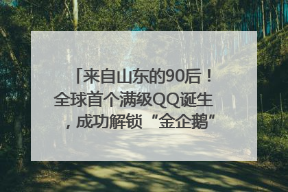 来自山东的90后！全球首个满级QQ诞生，成功解锁“金企鹅”，是继承父亲账号