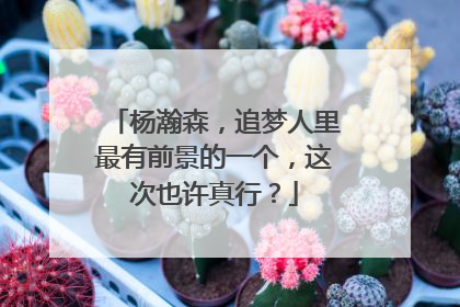 杨瀚森，追梦人里最有前景的一个，这次也许真行？