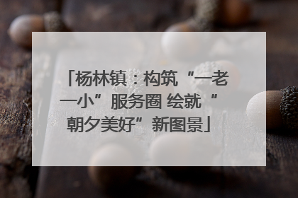 杨林镇：构筑“一老一小”服务圈 绘就“朝夕美好”新图景