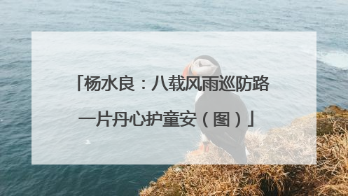 杨水良：八载风雨巡防路 一片丹心护童安（图）