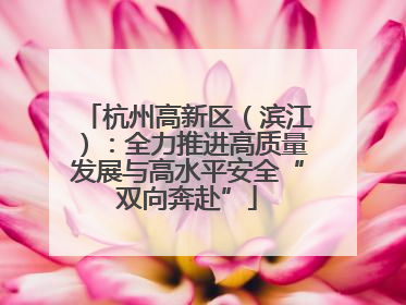 杭州高新区（滨江）：全力推进高质量发展与高水平安全“双向奔赴”