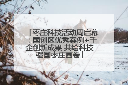 枣庄科技活动周启幕：国创区优秀案例+千企创新成果 共绘科技强国枣庄画卷
