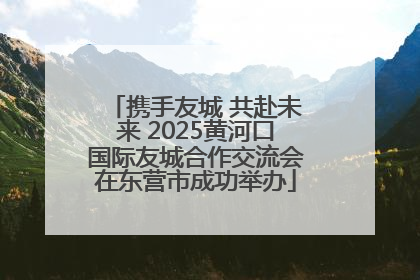 携手友城 共赴未来 2025黄河口国际友城合作交流会在东营市成功举办
