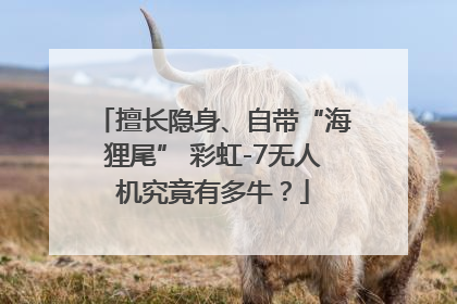 擅长隐身、自带“海狸尾” 彩虹-7无人机究竟有多牛？