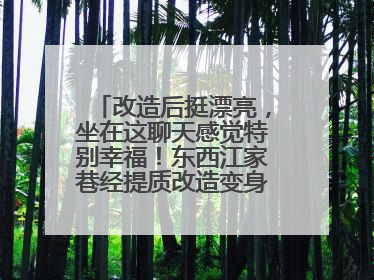 改造后挺漂亮，坐在这聊天感觉特别幸福！东西江家巷经提质改造变身居民自治幸福家