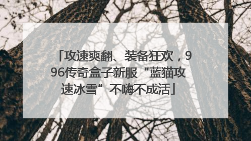 攻速爽翻、装备狂欢，996传奇盒子新服“蓝猫攻速冰雪”不嗨不成活