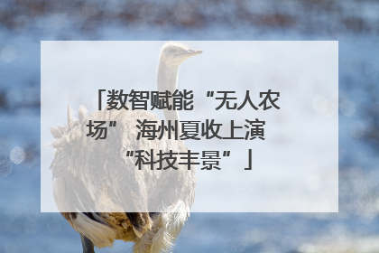 数智赋能“无人农场” 海州夏收上演“科技丰景”