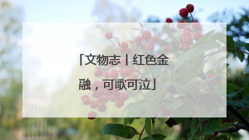文物志丨红色金融，可歌可泣