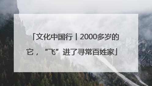 文化中国行丨2000多岁的它，“飞”进了寻常百姓家