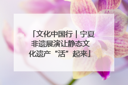 文化中国行｜宁夏 非遗展演让静态文化遗产“活”起来