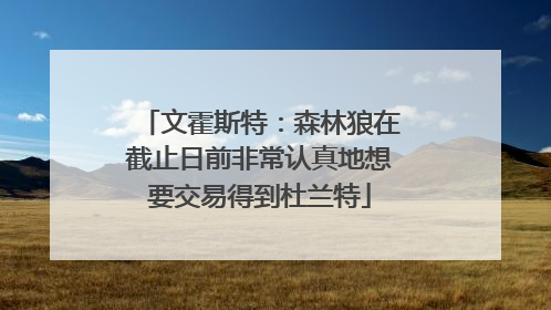 文霍斯特：森林狼在截止日前非常认真地想要交易得到杜兰特