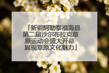 新疆阿勒泰福海县第二届沙尔布拉克草原运动会盛大开幕 展现草原文化魅力
