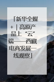新华全媒+｜高原产品上“云”端——西藏电商发展一线观察