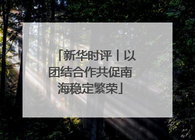 新华时评丨以团结合作共促南海稳定繁荣