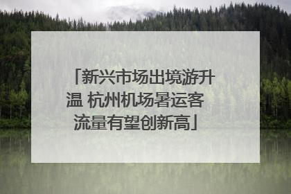 新兴市场出境游升温 杭州机场暑运客流量有望创新高