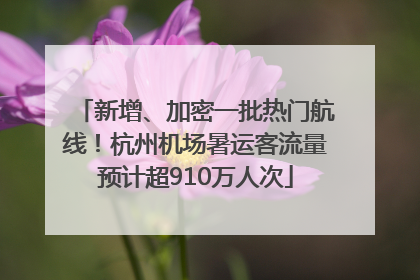 新增、加密一批热门航线！杭州机场暑运客流量预计超910万人次