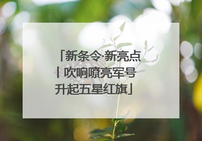 新条令·新亮点丨吹响嘹亮军号 升起五星红旗