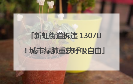 新虹街道拆违 1307㎡！城市绿肺重获呼吸自由