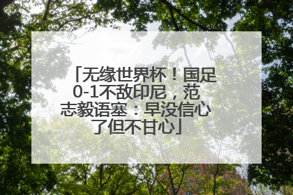 无缘世界杯！国足0-1不敌印尼，范志毅语塞：早没信心了但不甘心
