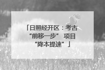 日照经开区：考古“前移一步” 项目“降本提速”