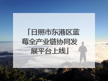 日照市东港区蓝莓全产业链协同发展平台上线