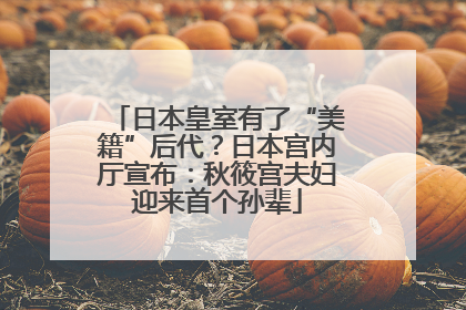 日本皇室有了“美籍”后代？日本宫内厅宣布：秋筱宫夫妇迎来首个孙辈
