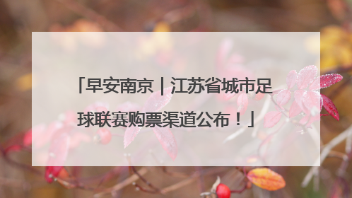 早安南京｜江苏省城市足球联赛购票渠道公布！