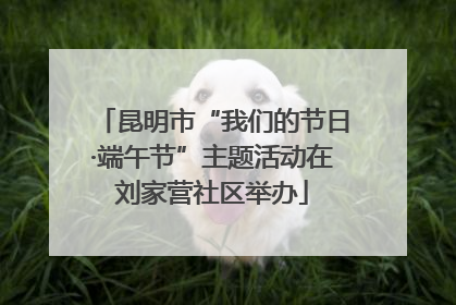 昆明市“我们的节日·端午节”主题活动在刘家营社区举办