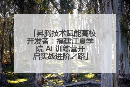 昇腾技术赋能高校开发者：福建江夏学院 AI 训练营开启实战进阶之路