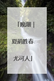 晚潮｜夏荫胜春尤可人