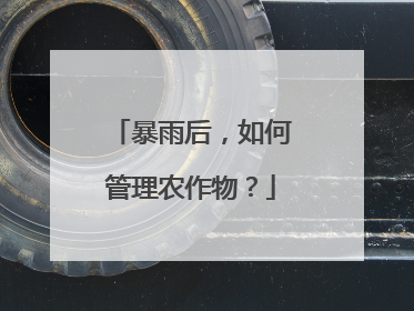 暴雨后，如何管理农作物？