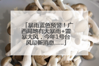 暴雨蓝色预警！广西局地有大暴雨+雷暴大风，今年1号台风最新消息……