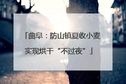 曲阜：防山镇夏收小麦实现烘干“不过夜”