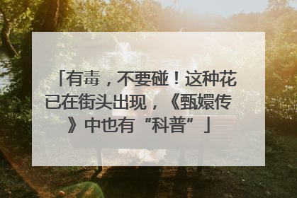 有毒，不要碰！这种花已在街头出现，《甄嬛传》中也有“科普”