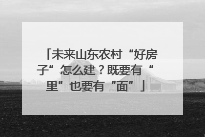 未来山东农村“好房子”怎么建？既要有“里”也要有“面”