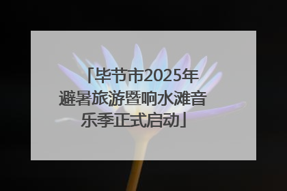 毕节市2025年避暑旅游暨响水滩音乐季正式启动