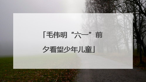 毛伟明“六一”前夕看望少年儿童