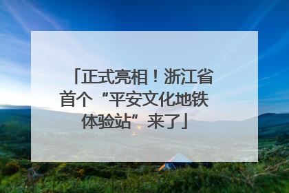 正式亮相！浙江省首个“平安文化地铁体验站”来了