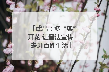 武昌：多“典”开花 让普法宣传走进百姓生活