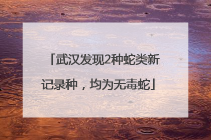 武汉发现2种蛇类新记录种，均为无毒蛇