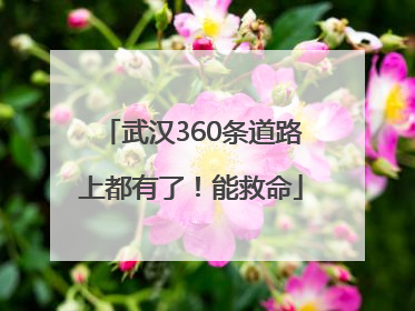 武汉360条道路上都有了！能救命