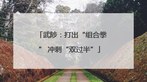 武陟：打出“组合拳” 冲刺“双过半”